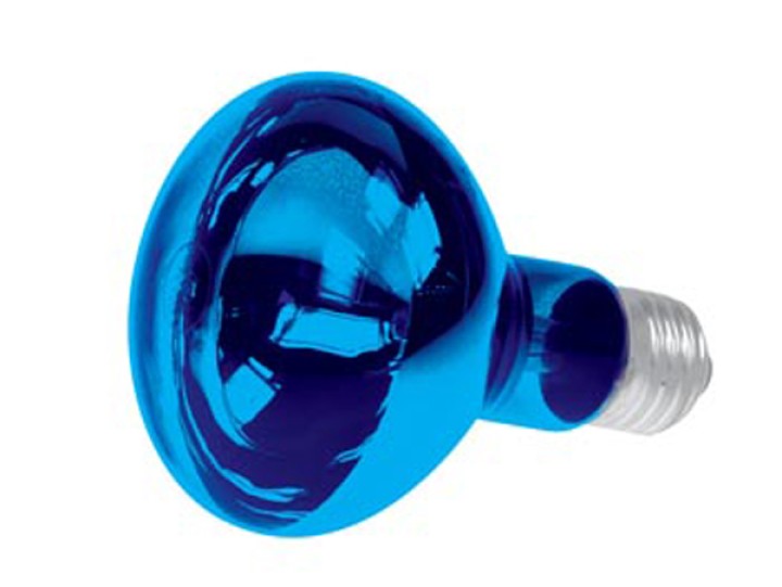 Bombilla coloreada color azul 60w velleman - 1